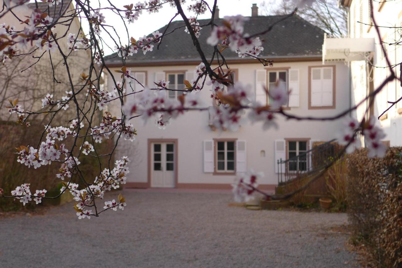 La Maison Carre Wolxheim Kültér fotó